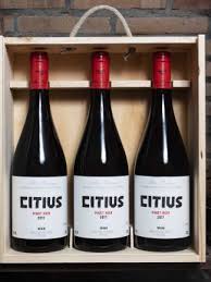 2018  Alta Pavina  Estate Citius  Pinot Noir